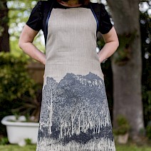 Megalong Valley Apron