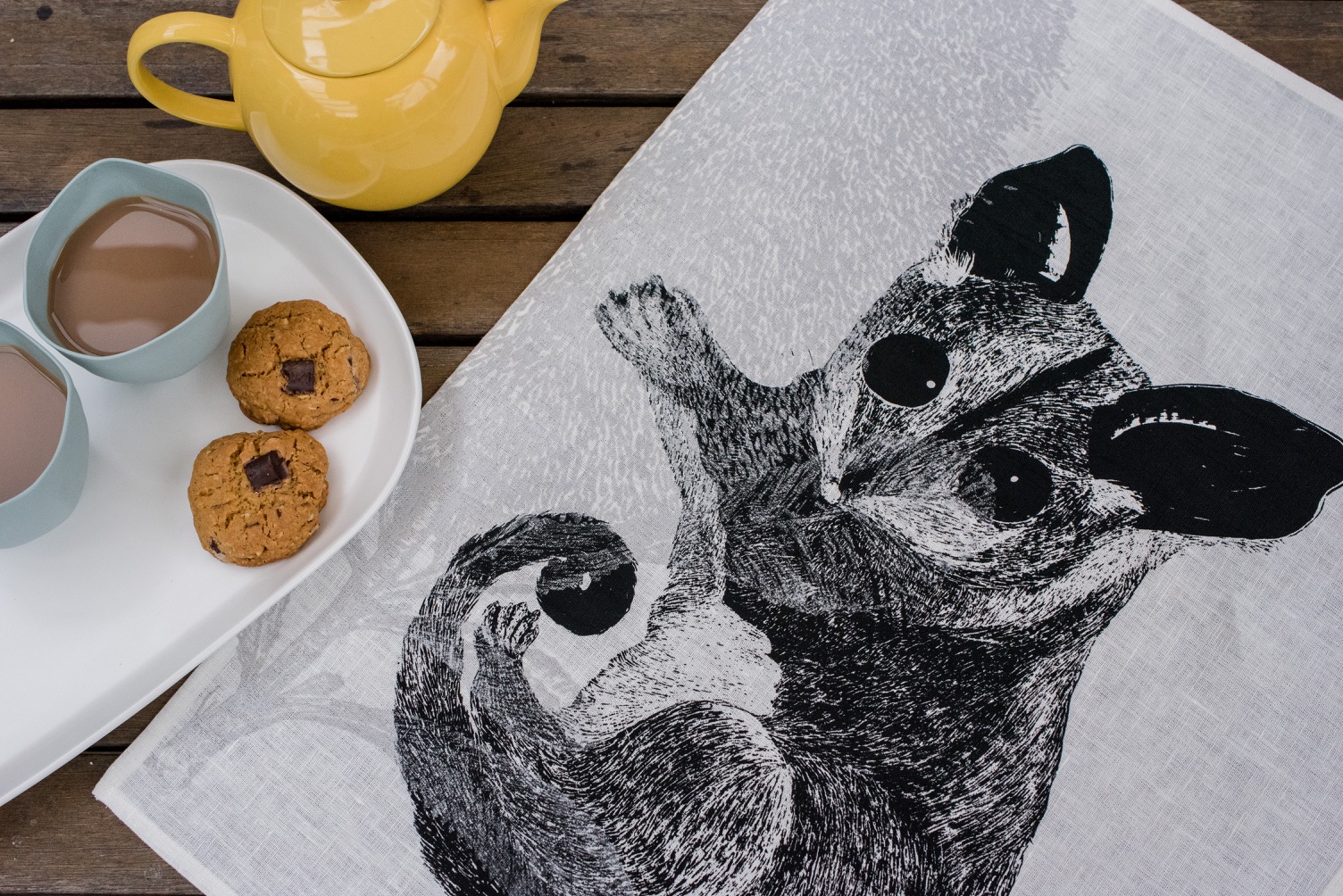 Feasting Sugar Glider