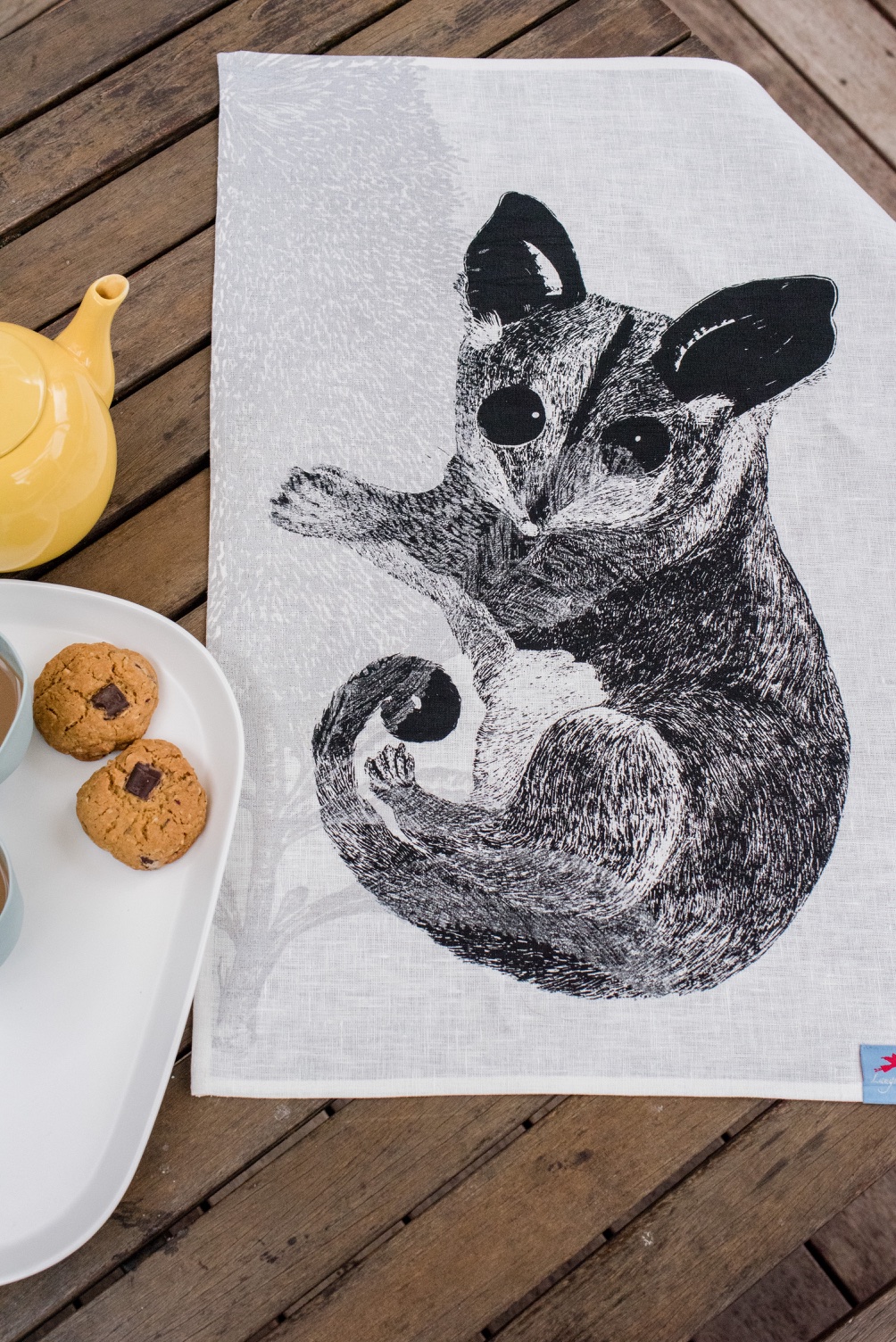 Feasting Sugar Glider