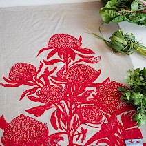 Magnificent Waratah