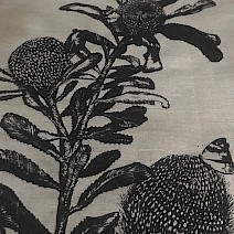 Banksia Serrata and Summer Butterfly