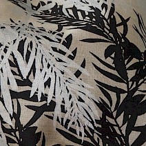 Hakea Silhouette