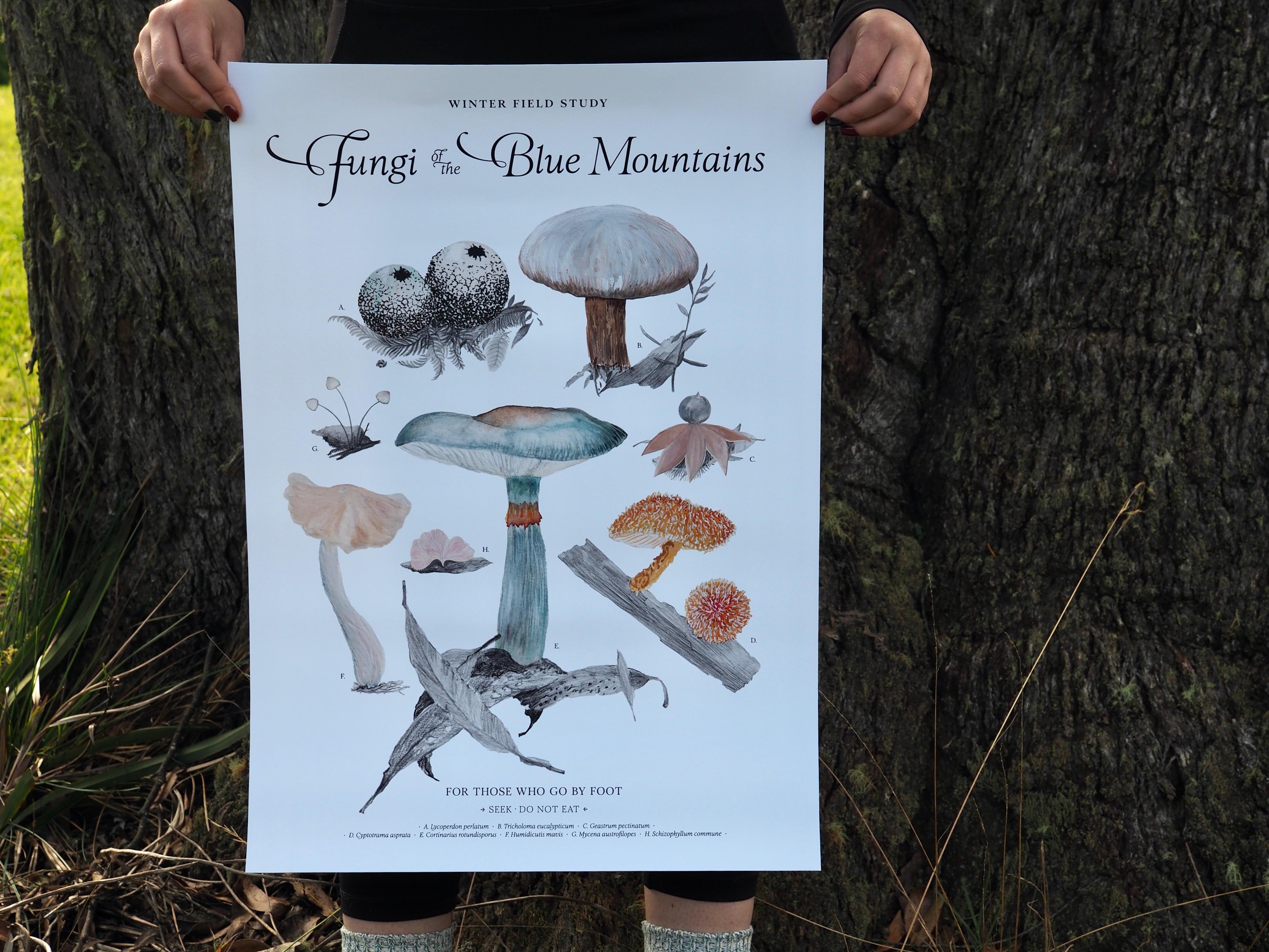 Winter Fungi Field Study .D